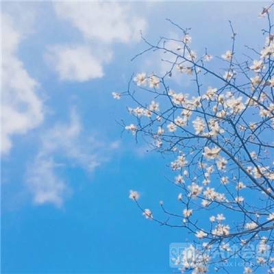 黎巴嫩总统：以色列与黎巴嫩冲突本可避免