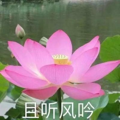 MSCIA股ETF易方达（512090）涨1.71%，成交额1.31亿元